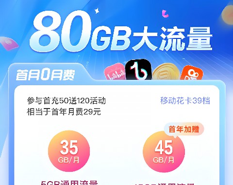 8.大王流量移动卡的无限流量限制是什么？